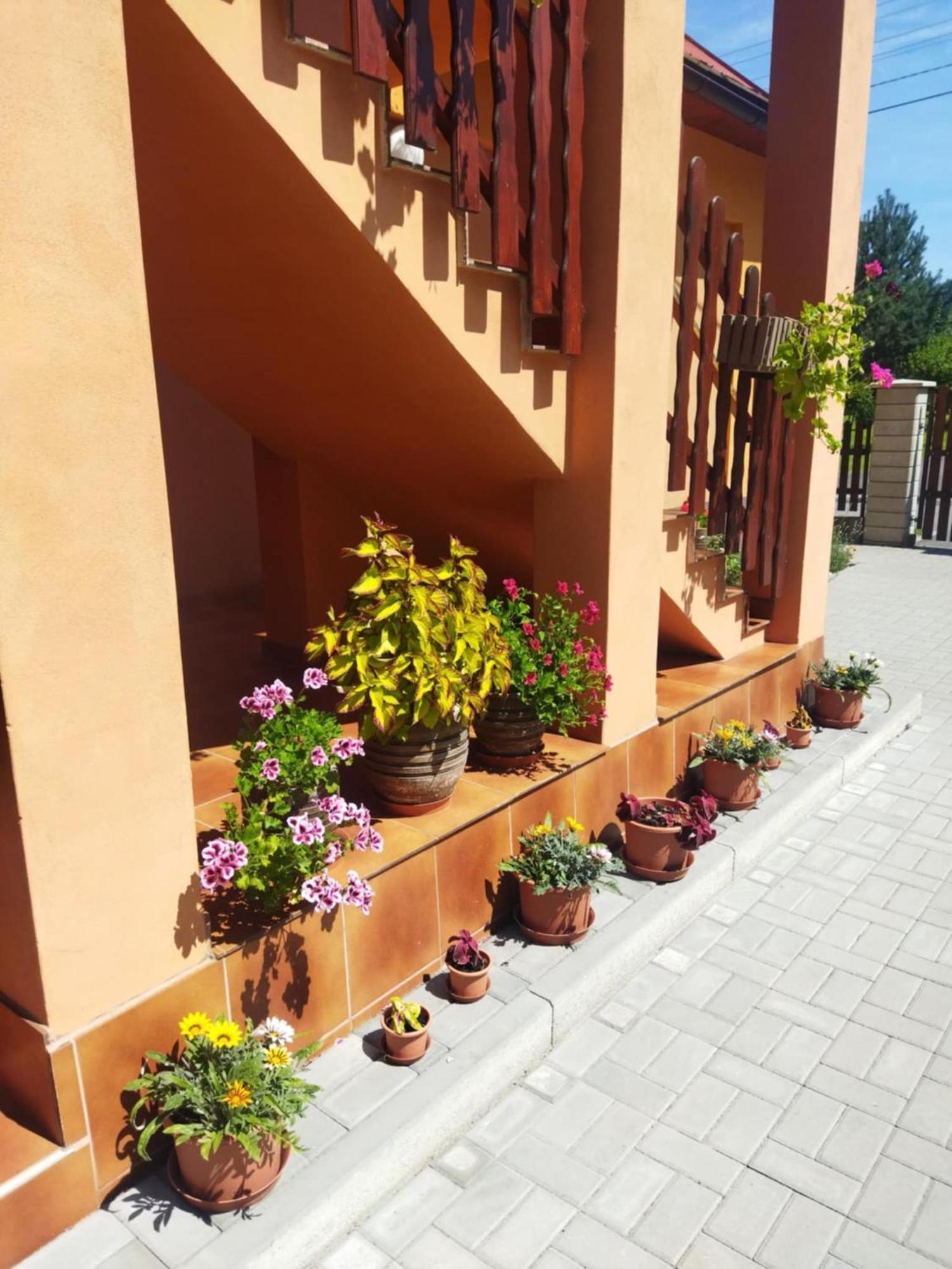 Ubytování Pod statkem Tichá Exterior foto